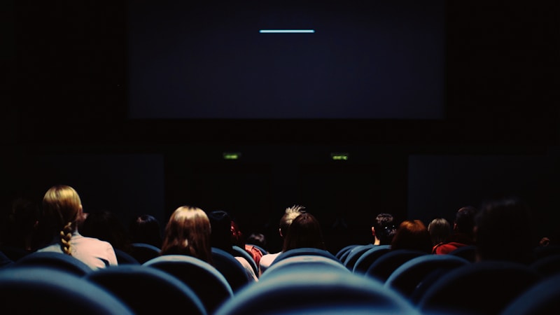 Audience in Cinema